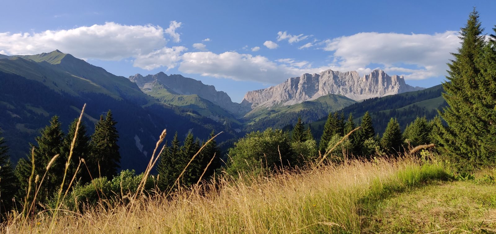 Fluss in einer Schlucht